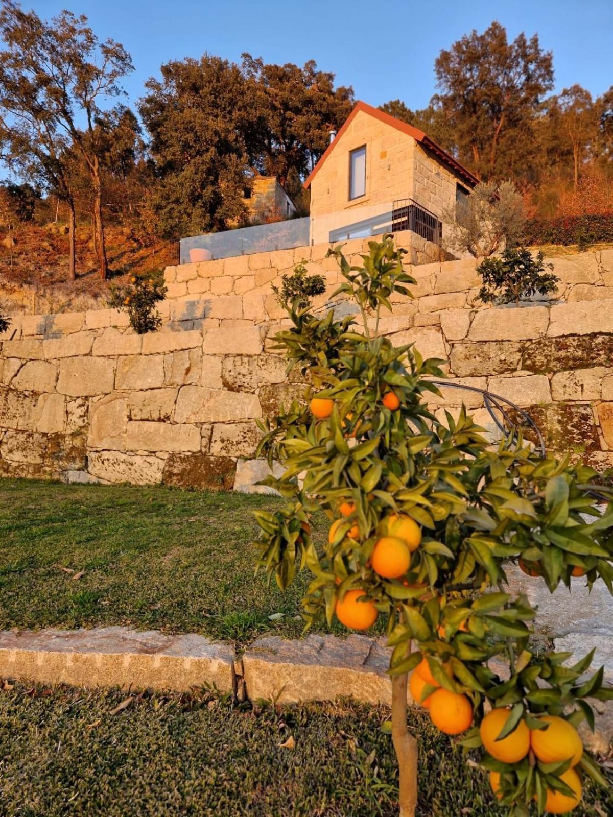 Javardo - Family House - Douro Penha Longa Dış mekan fotoğraf